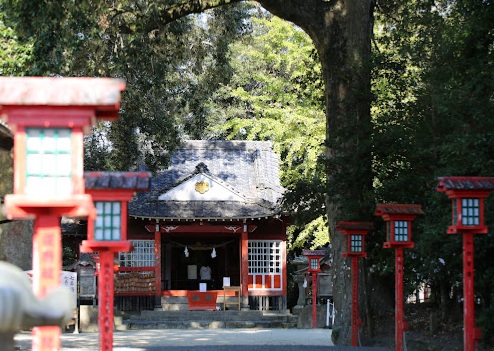 初詣に行ってきました！