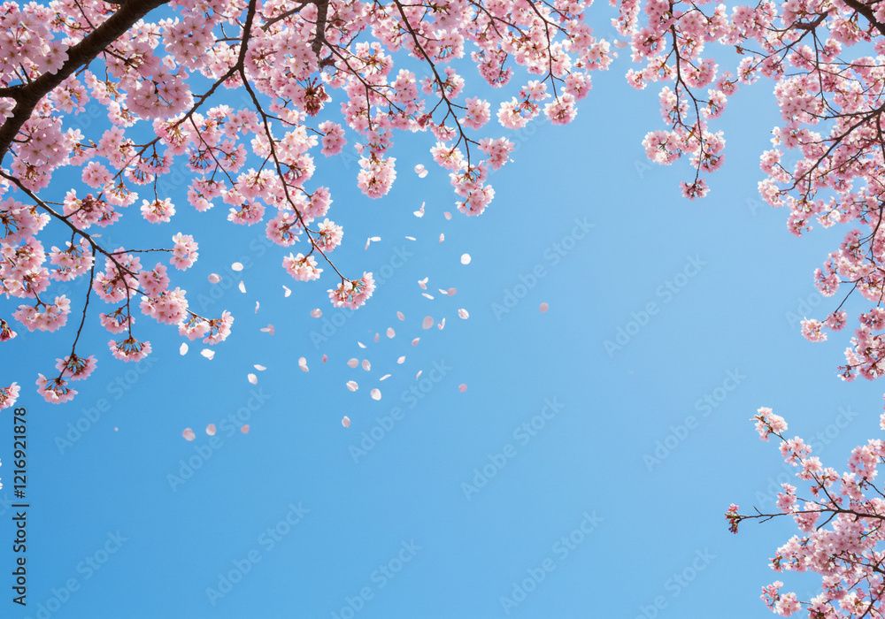 外壁塗装は春と秋がいいって本当？宮崎・都城でおすすめの時期