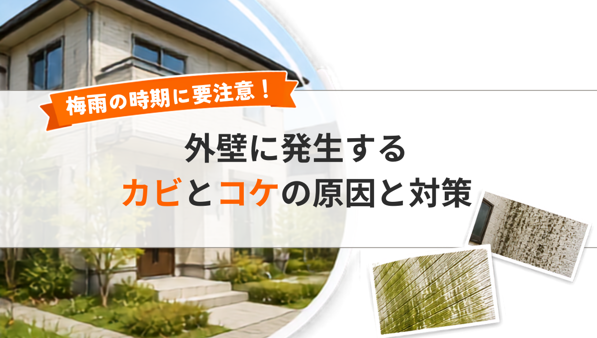 梅雨の時期に要注意!外壁に発生するカビ・コケの原因と対策