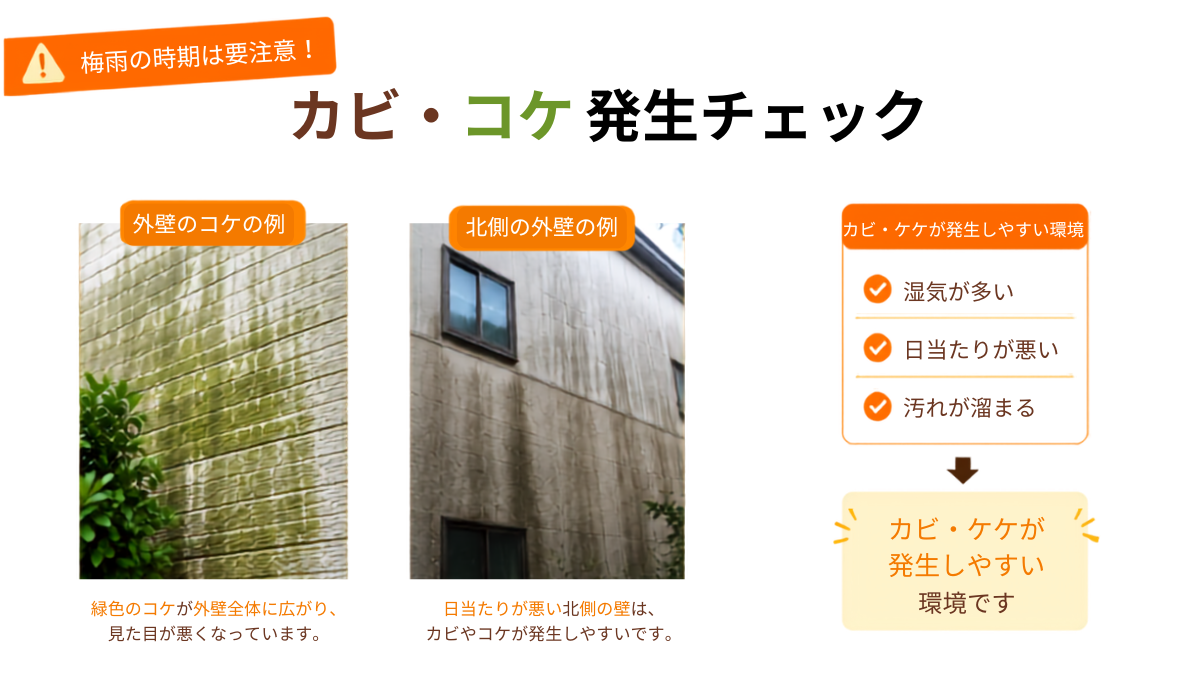 梅雨の時期に要注意！外壁に発生するカビ・コケの原因と対策